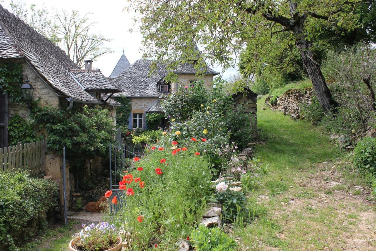 Les Terrasses De Labade Gite Et Chambres D'Hotes Coubisou Luaran gambar